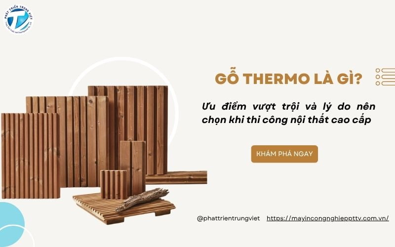 Gỗ Thermo Là Gì? Đơn Vị Cung Cấp Gỗ Thermo Uy Tín Chất Lượng
